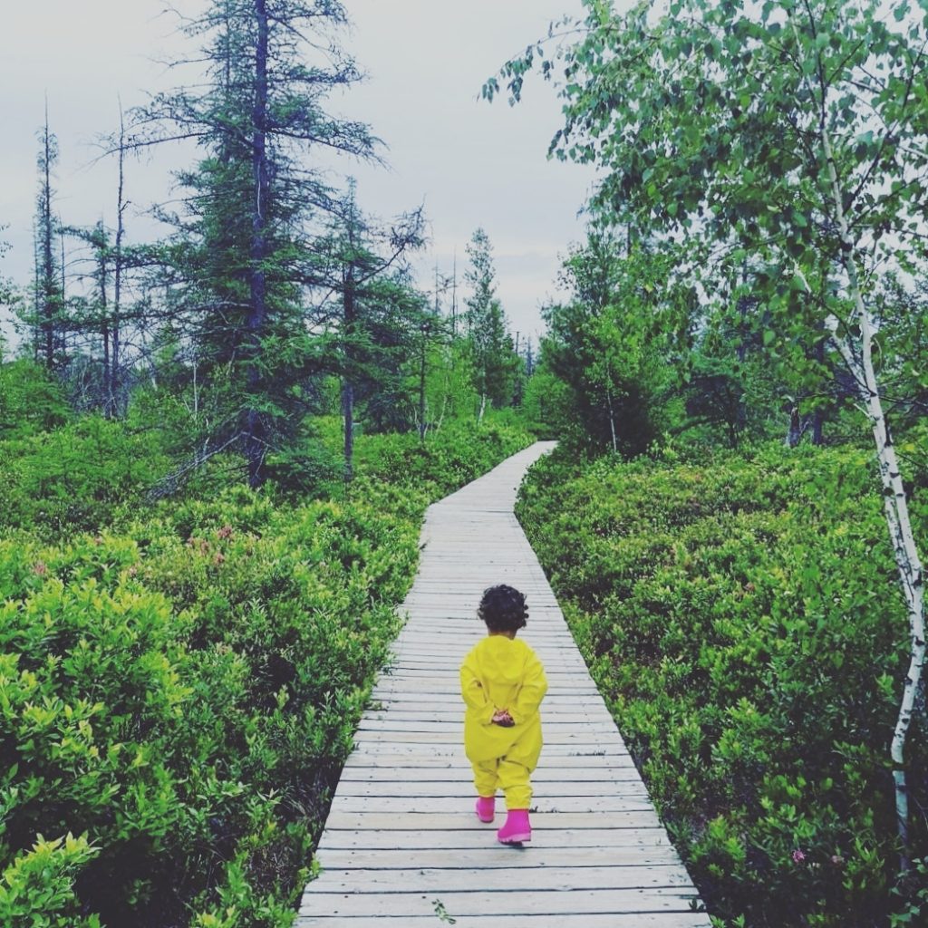 Wheelchair Accessible Trails Near Ottawa Adventure Report